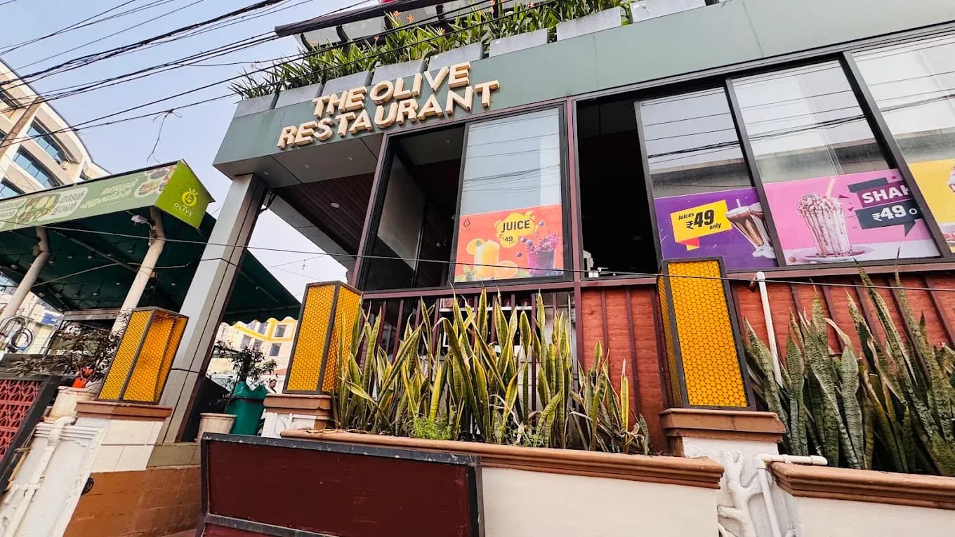 The Olive Restaurant photo 1