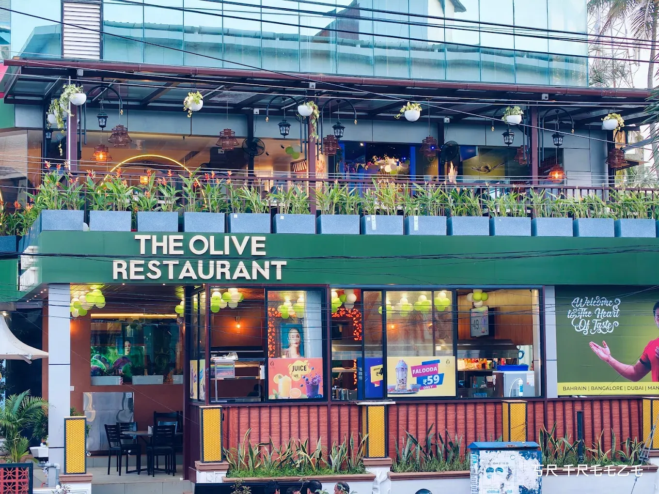 The Olive Restaurant
